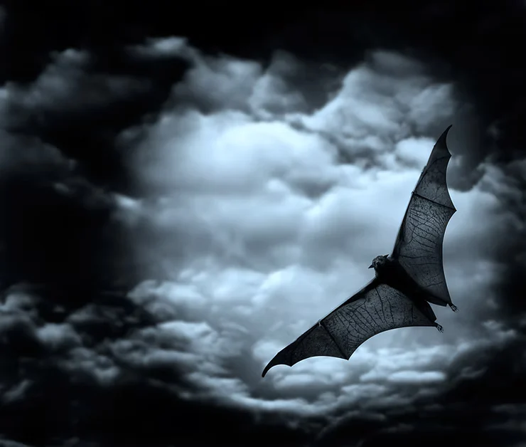Dynamic Counselling Why We Like Getting Scared